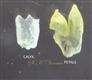  Calyx and Corolla